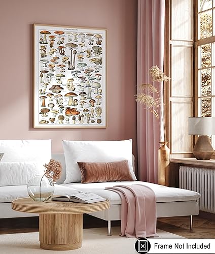 Miniatura 276 de Poster Master Póster vintage de orquídea, estampado de flores retro, arte de pared de plantas exóticas, arte botánico, regalo para hombres y