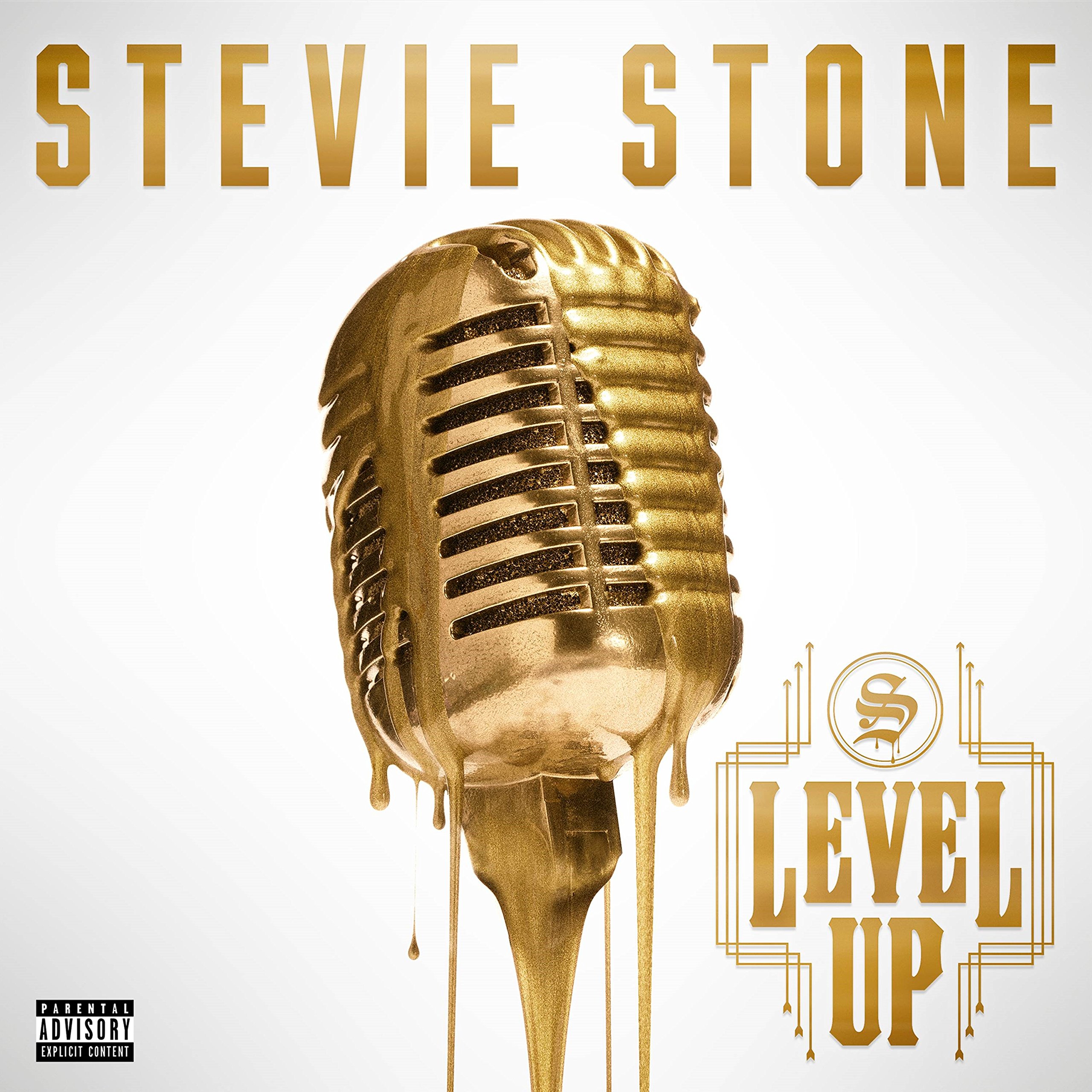 Level Up [Audio CD] STONE,STEVIE