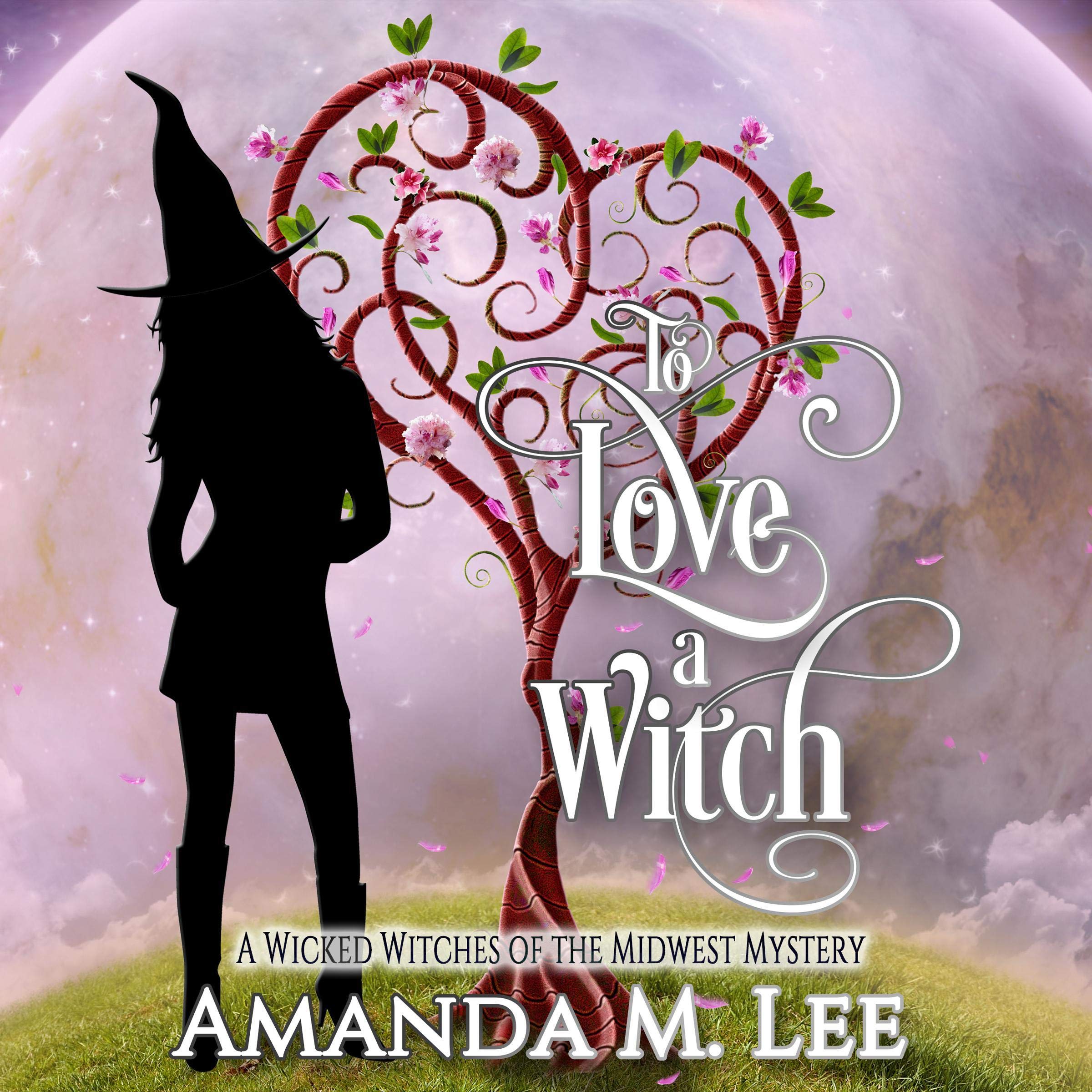 Cover art for To Love a Witch