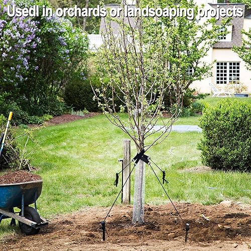 Miniatura 3 de Juego de 31 estacas para árboles, 15 estacas de árbol negro, 15 correas de árbol + 157.48 pulgadas de cuerda fuerte, kits de anclaje de árboles