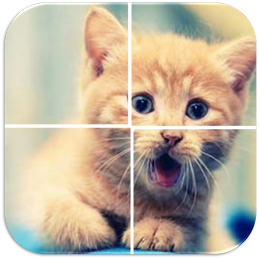 Cats Puzzle App on Amazon Appstore