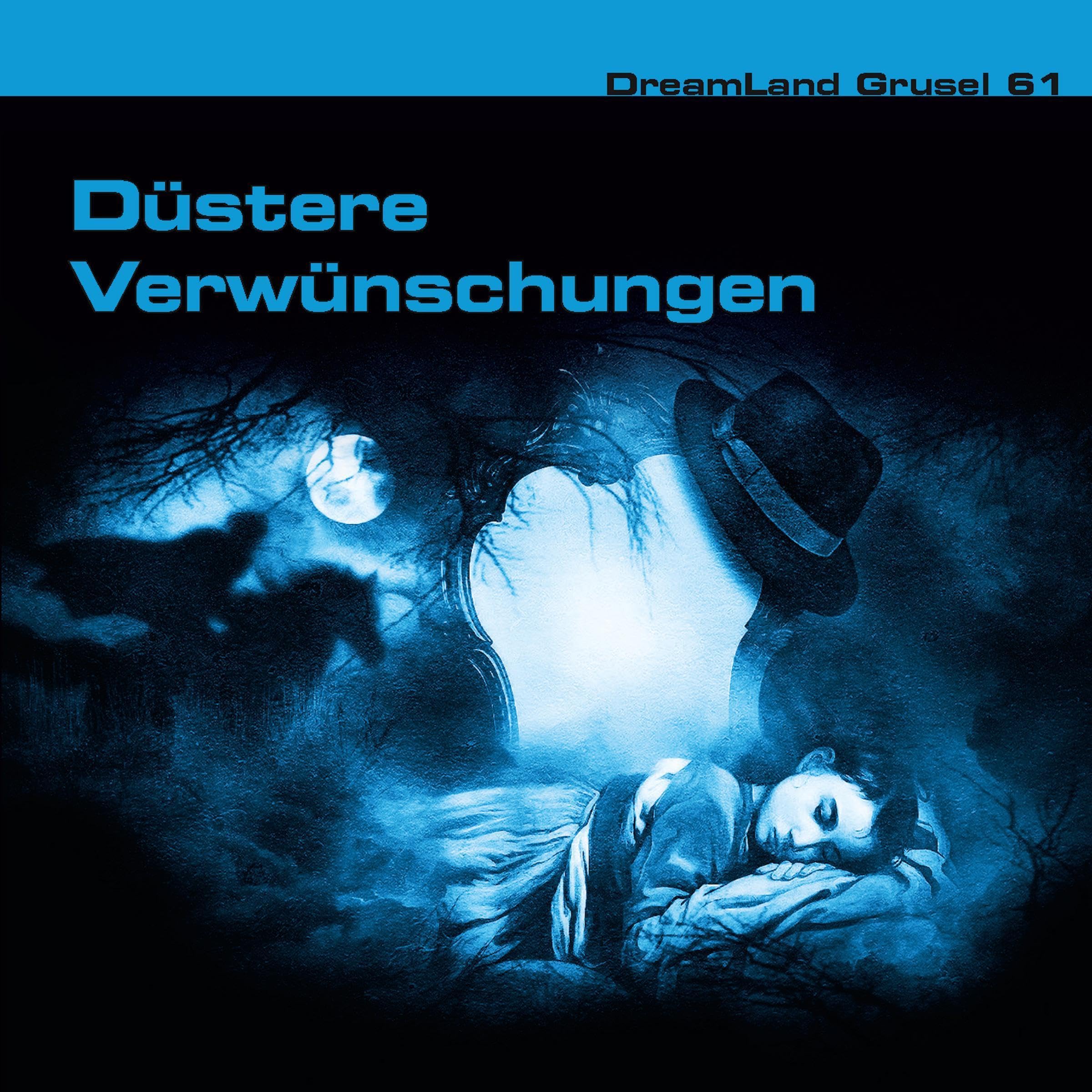 Cover art for Düstere Verwünschungen