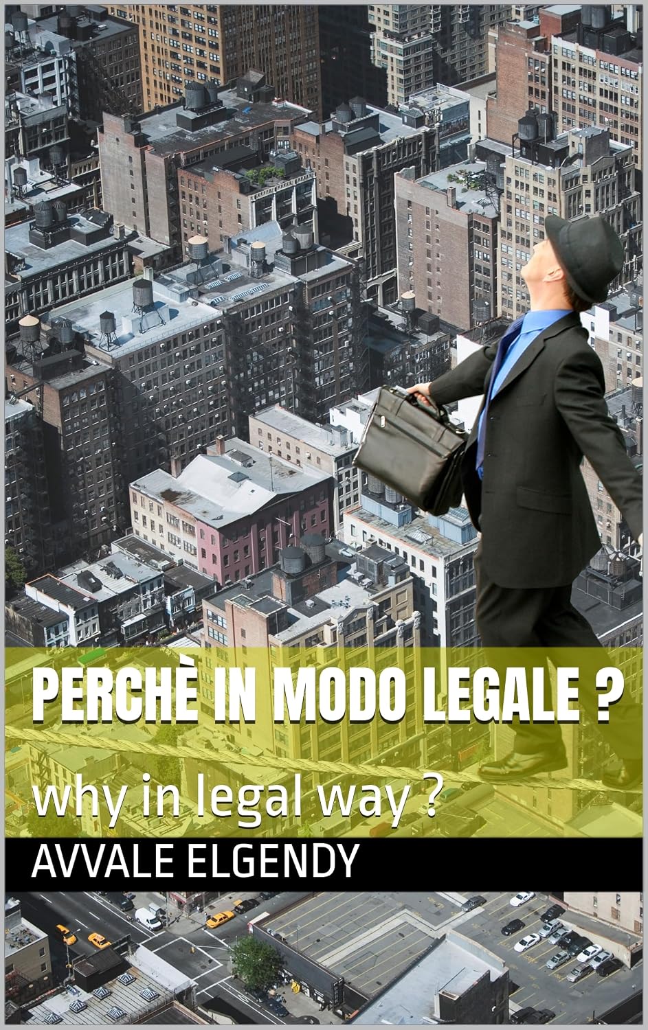 perchè in modo legale ? : why in legal way ? (Italian Edition)