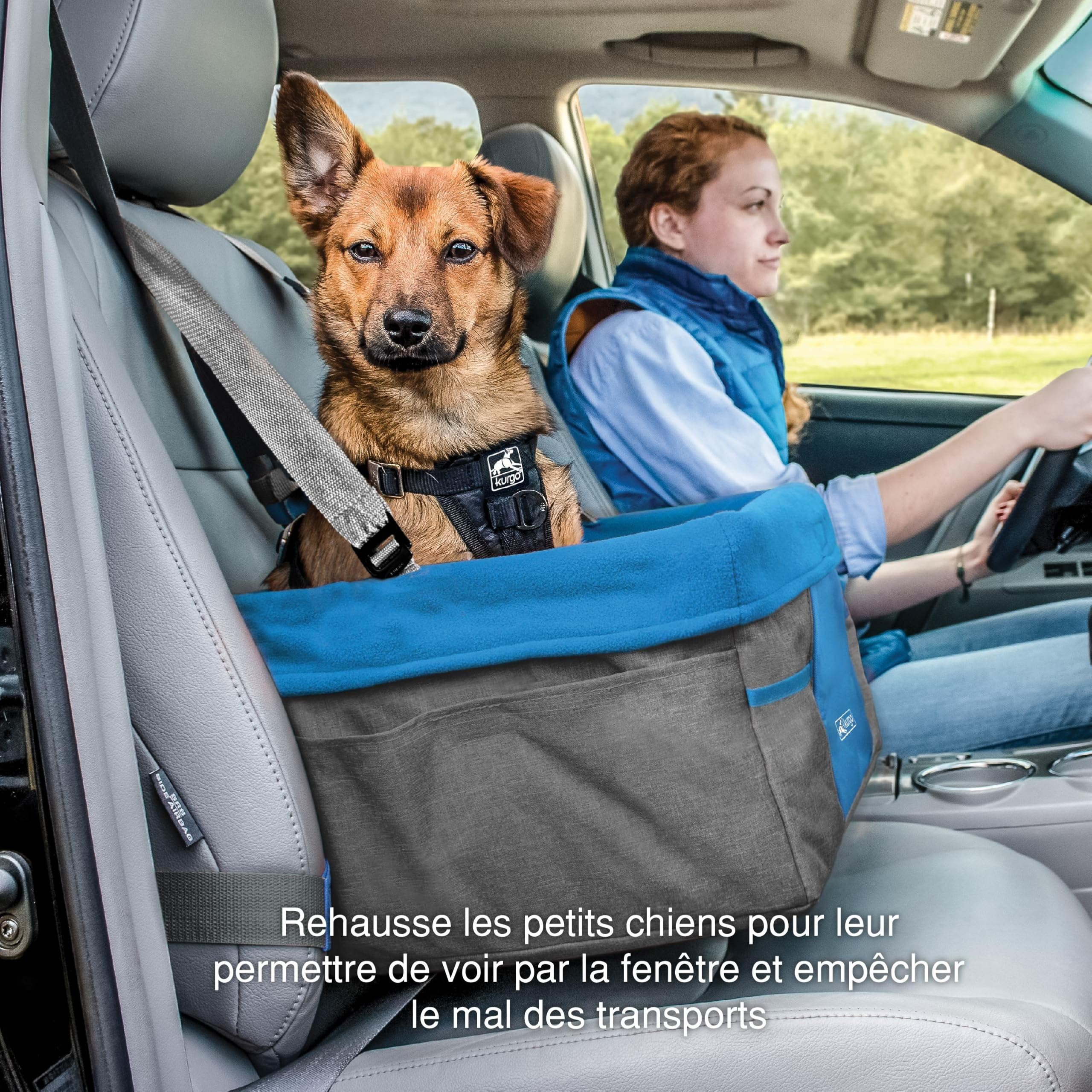 Kurgo Heather Siège réhausseur de Voiture pour Petits Chiens, Ceinture de sécurité Incluse, Contre Le Mal des transports, Bleu/Gris