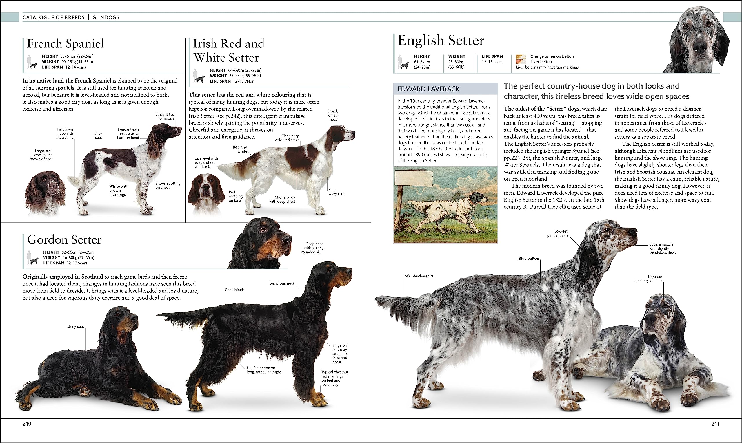 The Dog Encyclopedia: The Definitive Visual Guide