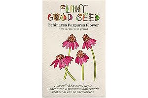 Plant Good Seed Sarracenia Purpurea Seeds Organic Pack of 50 - Carnivorous...