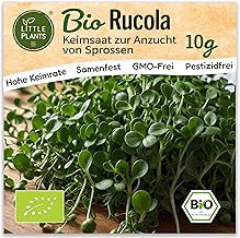 Little Plants Bio Rucola Sprossen Samen [10g] - Rucola-Samen - Rucolasprossen & Microgreens zum Keimen
