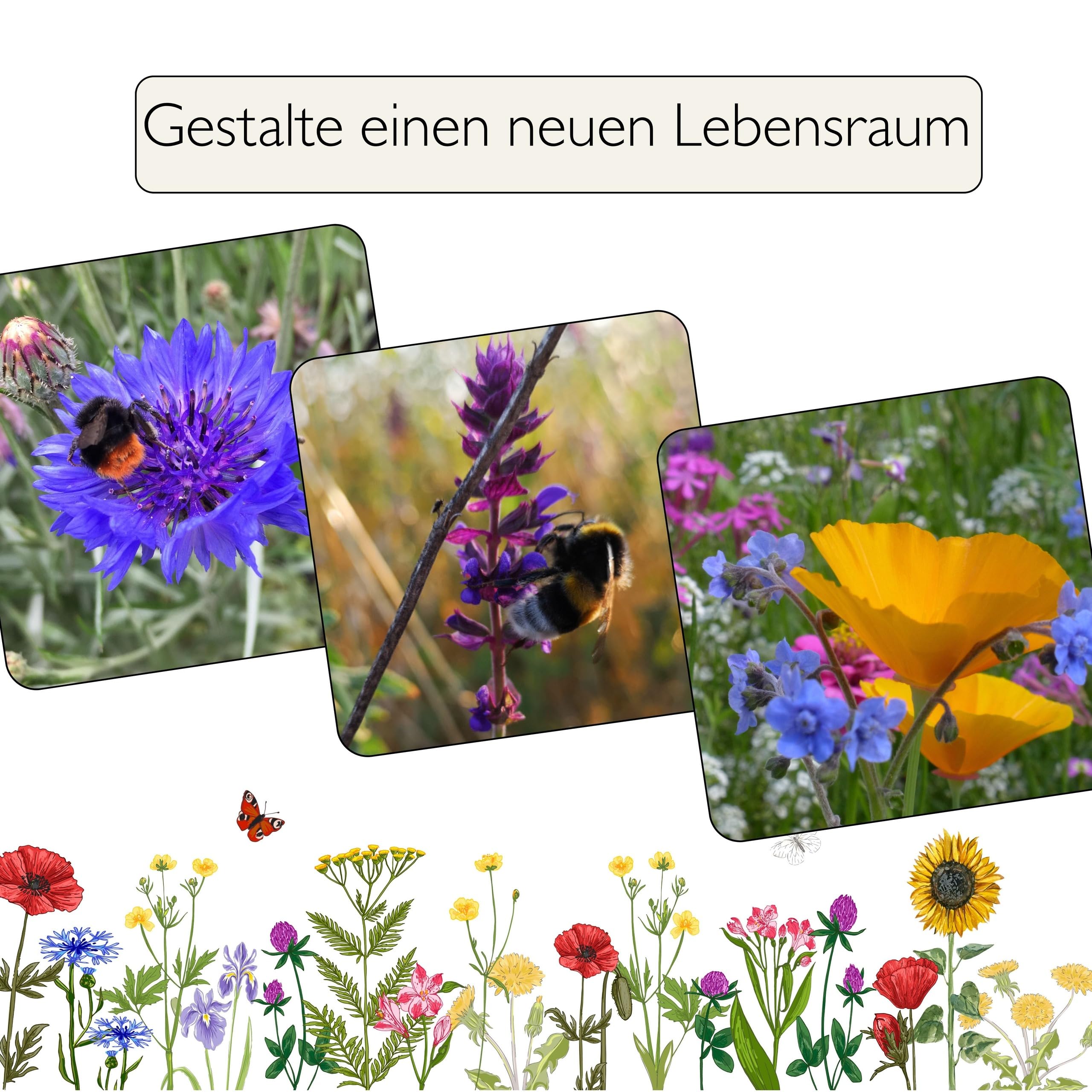 Blumenwiese mit 65 Wildkräuterarten, fünfjährige Bienenweide, insektenfreundliche Blühwiese, wilde mehrjährige winterharte Samenmischung für Bienen Hummeln und Schmetterlinge, Blumenwiesen (20qm)