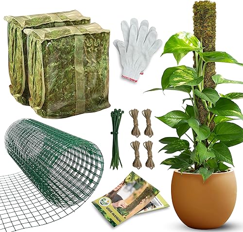 Miniatura 17 de DUSPRO Paquete de 2 postes de musgo de malla de 25 pulgadas para plantas trepadoras, poste de musgo natural Monstera, postes de musgo real