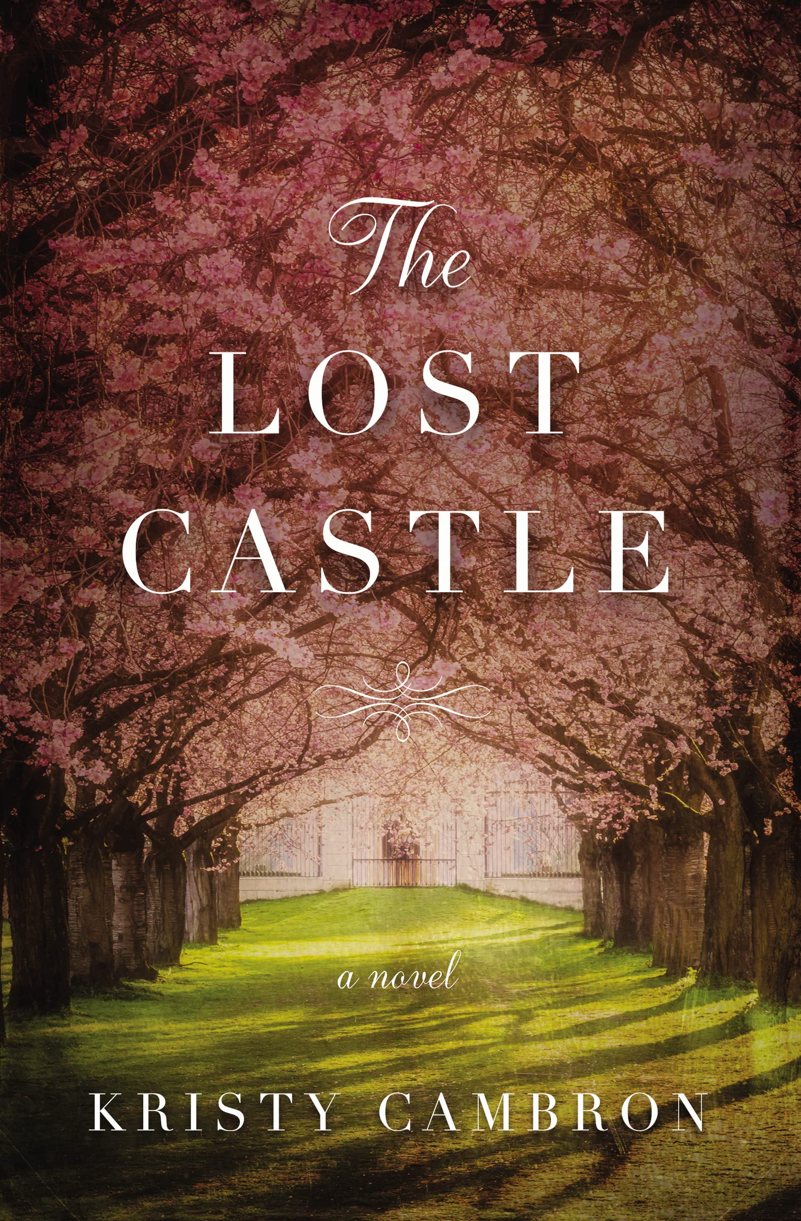 The Lost Castle: A Split-Time Romance: 1 (A Lost Castle Novel)