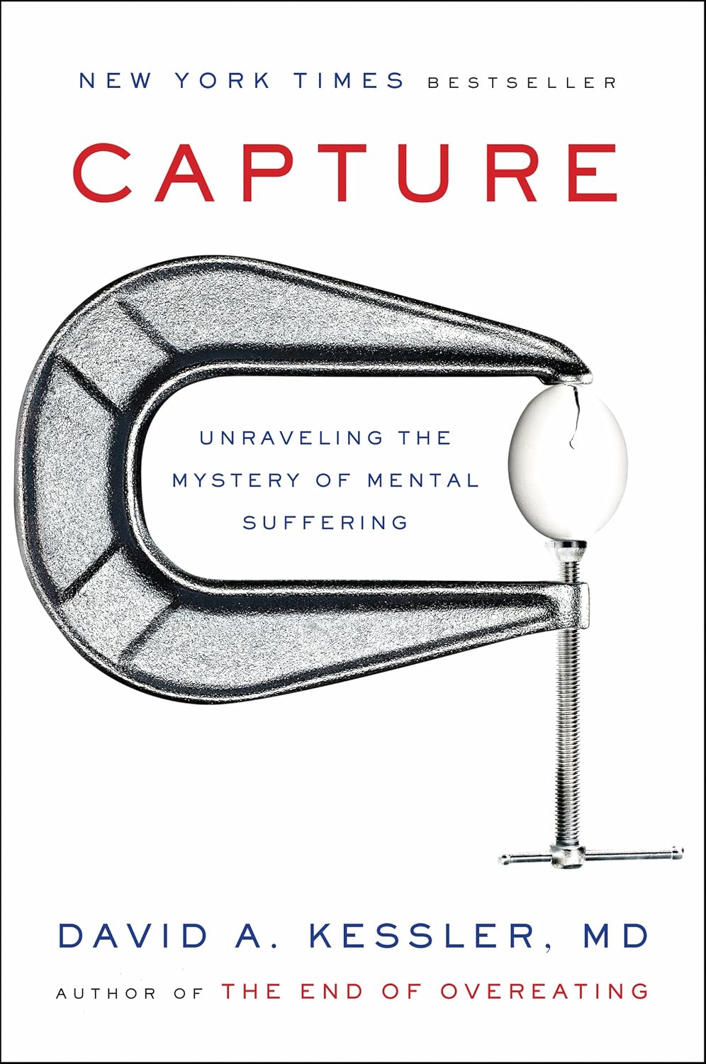 Capture Unraveling the Mystery of Mental Suffering Profound Insights