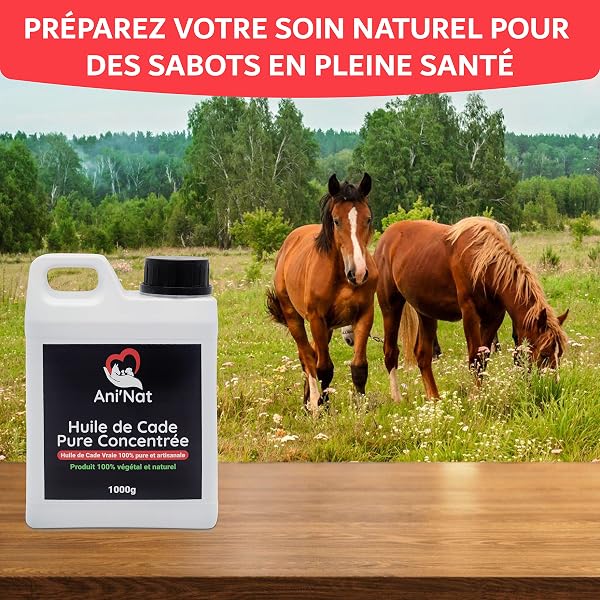AniNat Huile de Cade Pure Concentrée 100% Naturelle - Soin des Pattes des Poules, Sabots Chevaux, Soles Ramollies, Dermite - Bidon 1000g - 4