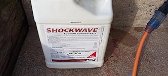 Review Image by Gray Man Reviews Gray Man Reviews