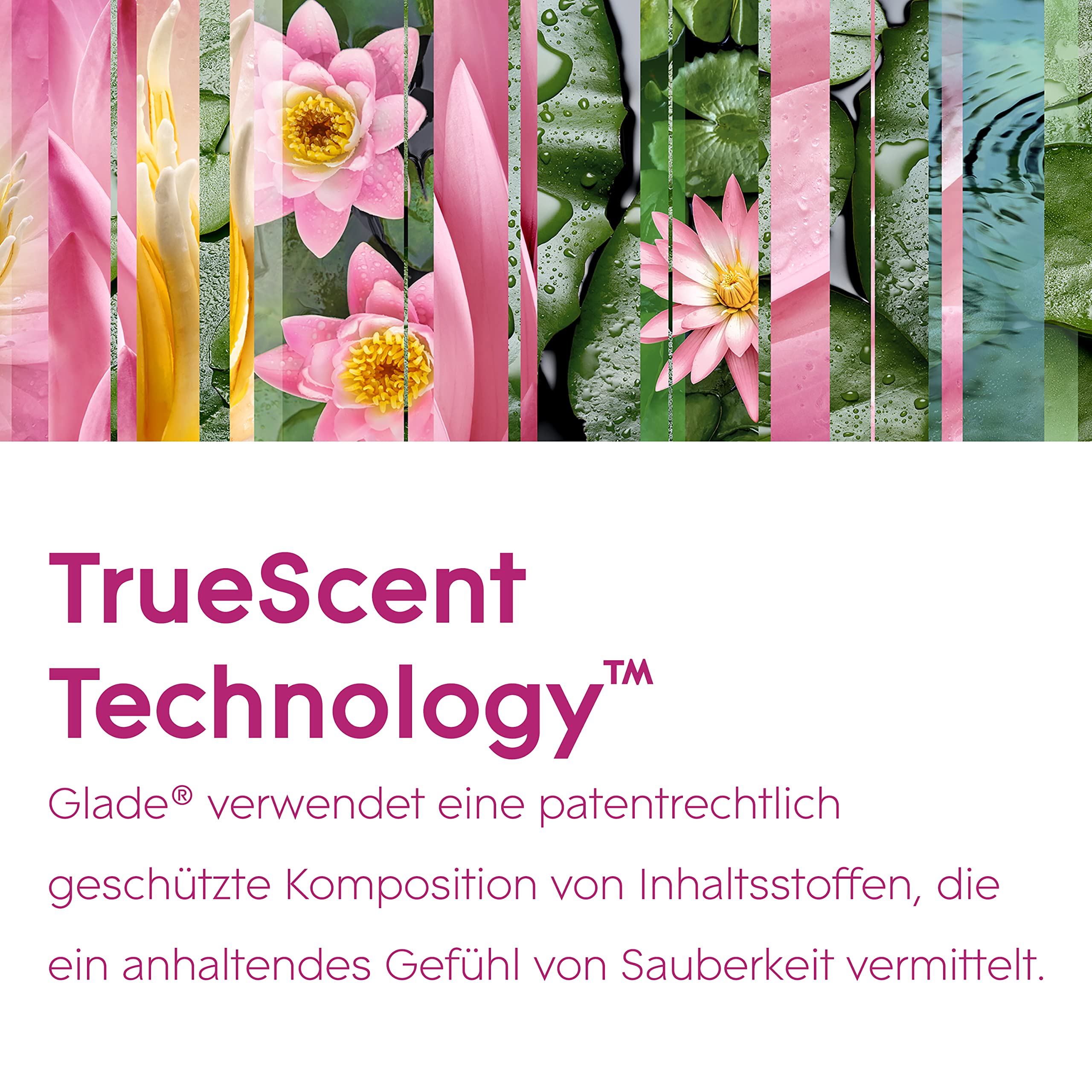 Glade Touch & Fresh (Brise One Touch) Nachfüller, Lufterfrischer Minispray, Relaxing Zen, 1er Pack (1 x 10 ml)