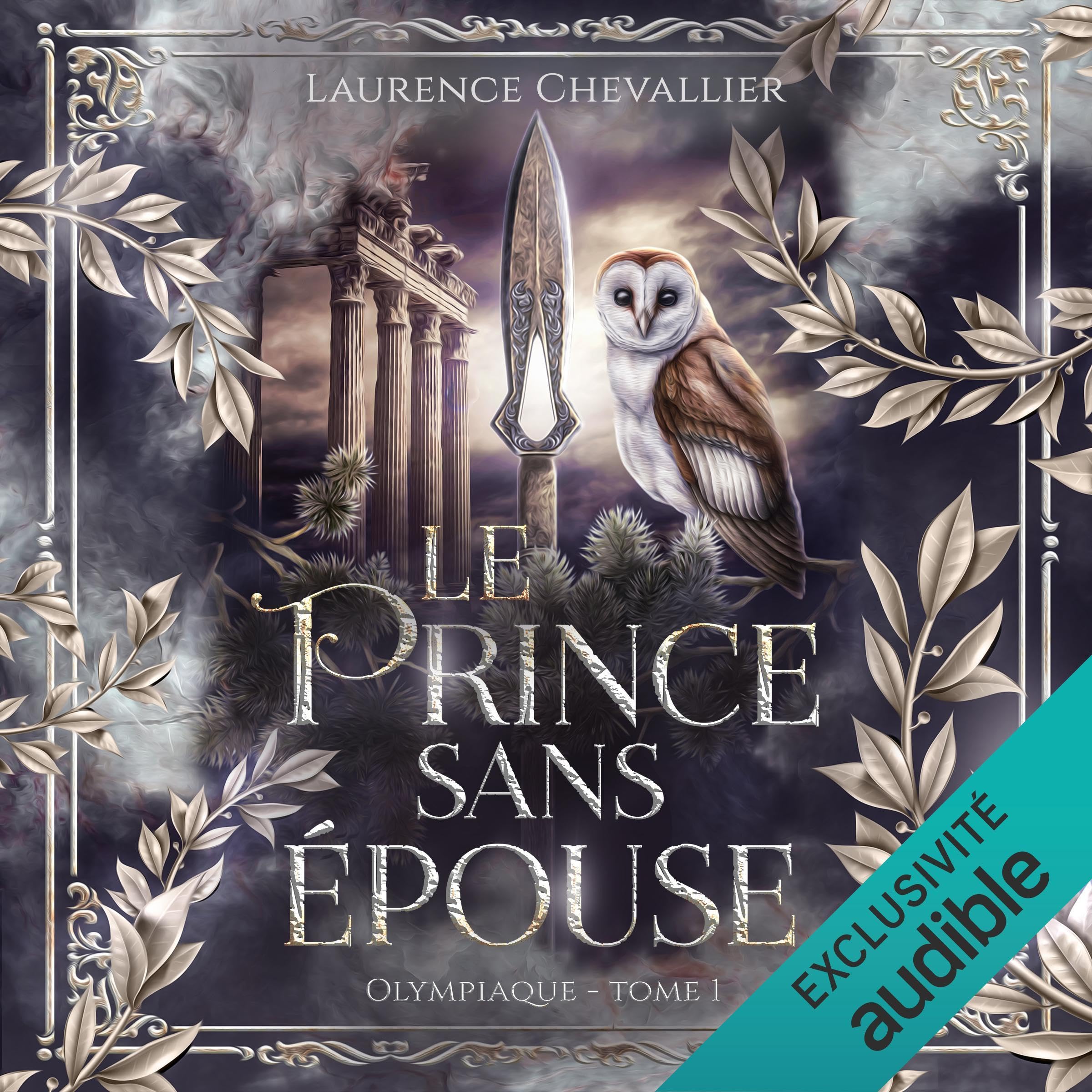 Cover art for Le prince sans épouse
