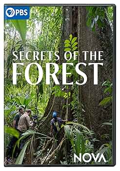 (未使用･未開封品)Nova: Secret of the Wild Child [DVD] Amazon.com: NOVA: Secret of the Wild Child [DVD] : Cronkite