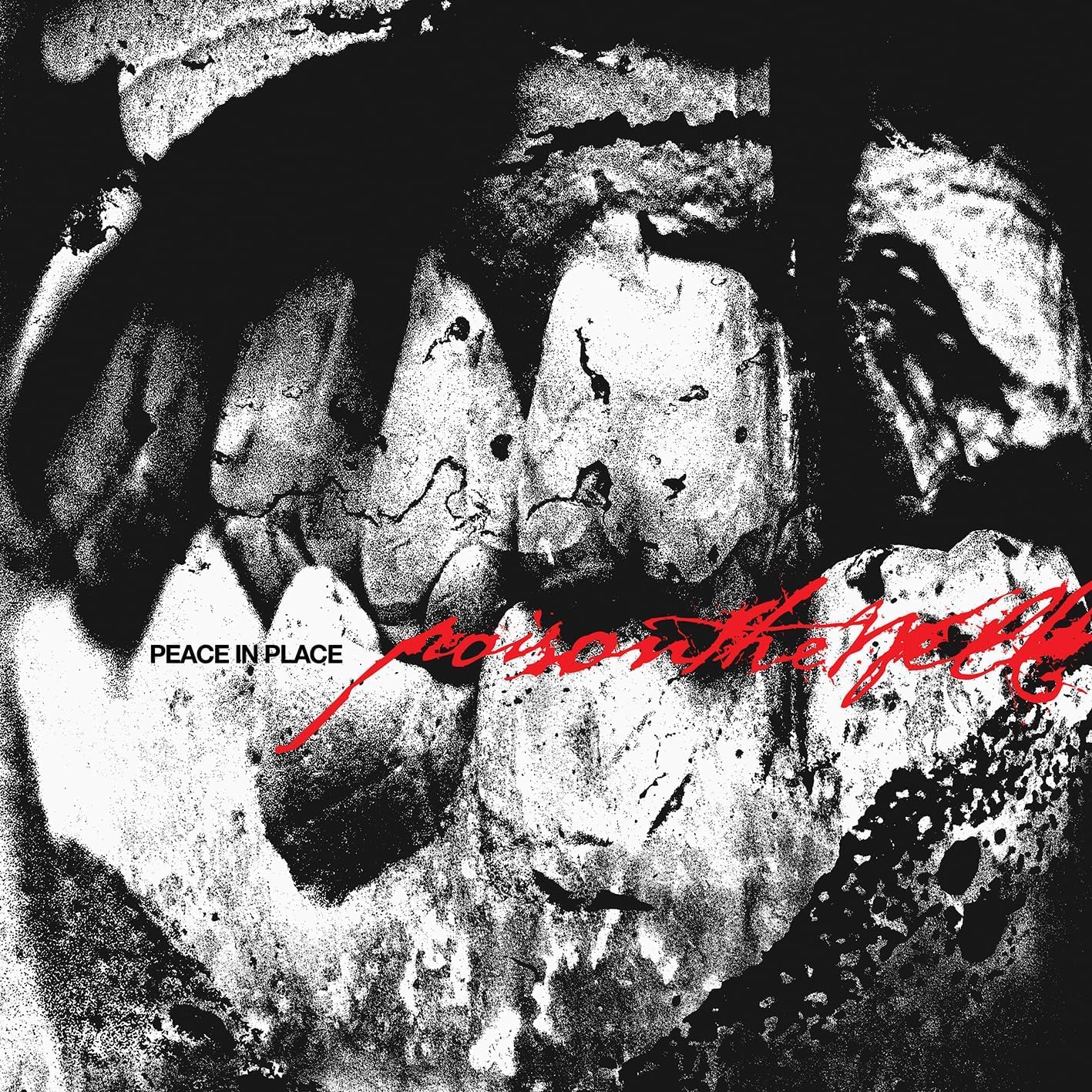 Poison the Well Peace In Place LP Vinyl NEW