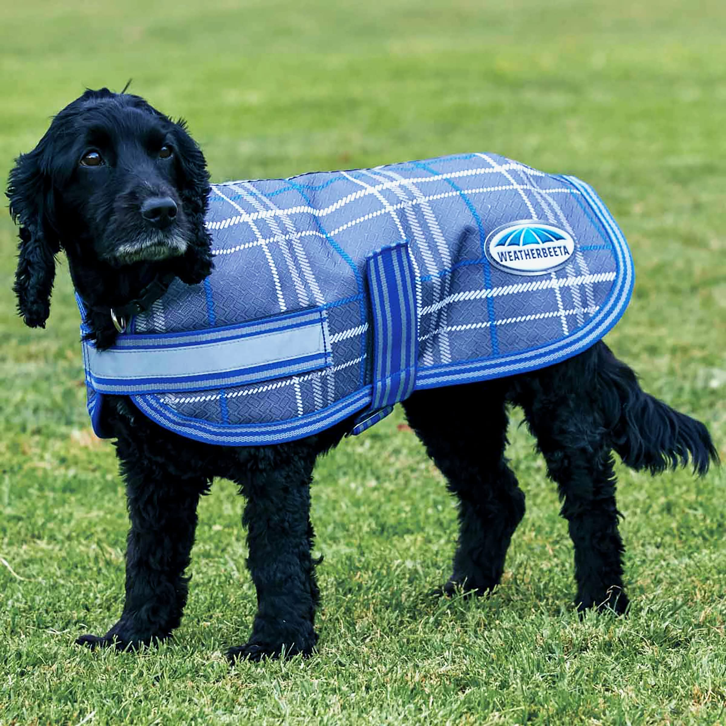 Weatherbeeta Herren Outdoormäntel
