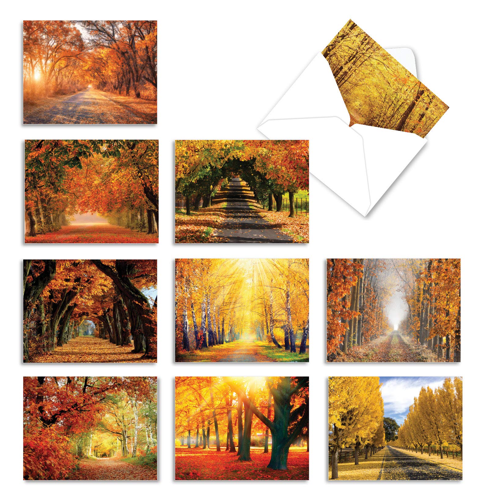The Best Card Company - 10 Beautiful Note Cards Blank (4 x 5.12 Inch) - Fall and Autumn Season, Boxed Notecard Assortment - Fall Foliage M4971OCB-B1x10