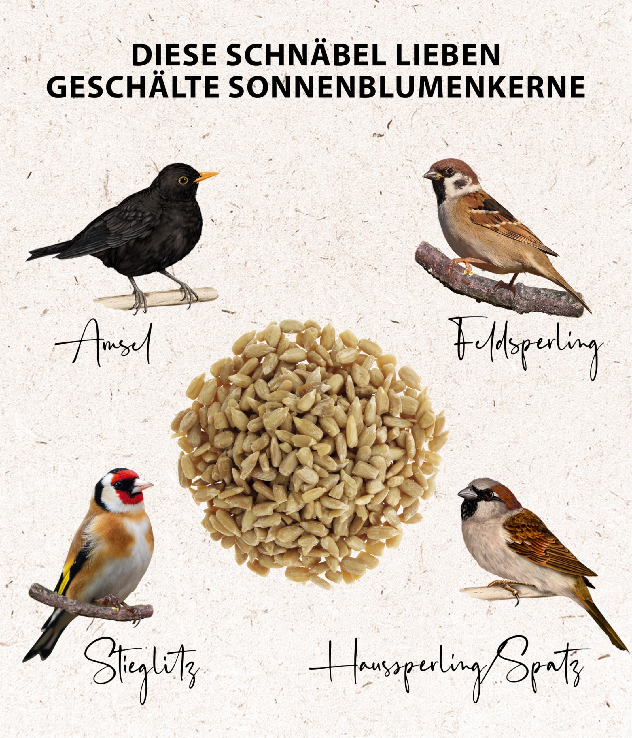 Planten voor een vogelvriendelijke tuin l