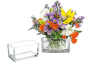 Elegant and Versatile: 7.5 Inch Clear Glass Rectangle Vases for a Touch of Sophistication