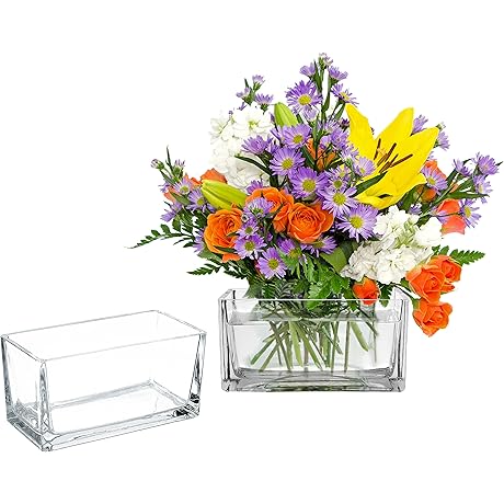 Elegant and Versatile: 7.5 Inch Clear Glass Rectangle Vases for a Touch of Sophistication