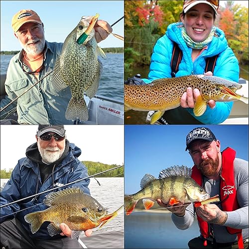 Miniatura 7 de Kit de cabezas de tubo de cebo de tubo, 60 piezas de señuelos de tubo de crappie, juego de anzuelos de plástico suave para gusanos, plantillas de