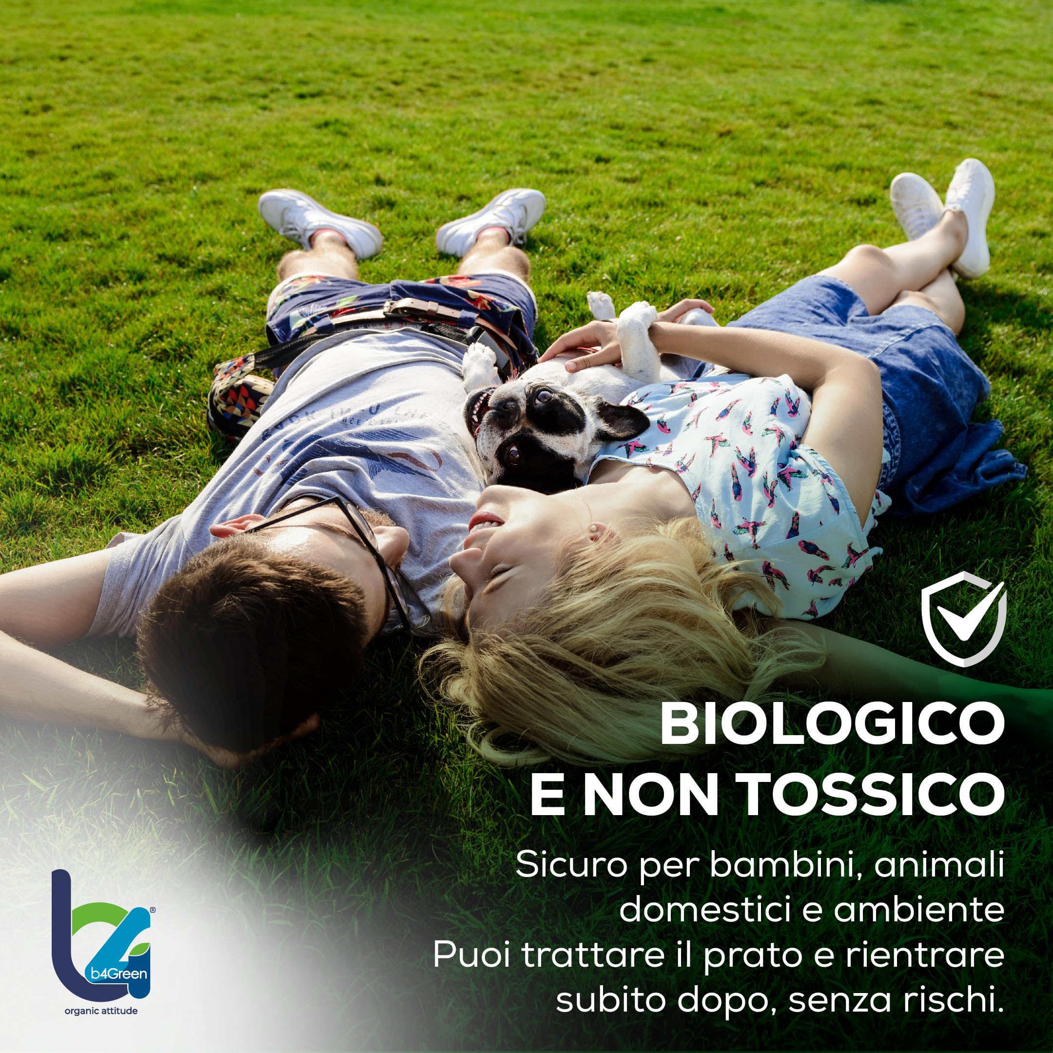 B4Green Protegge Prato (500m²) Funghicida per Prato Naturale Bio 250ml | Fungicida per Prato contro malattie fungine e prato malato, Micorrize Bio e Trichoderma per un tappeto erboso sano e verde