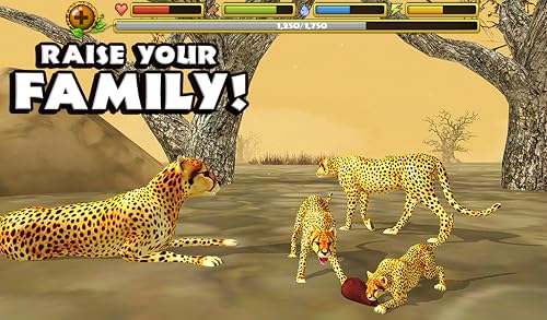 Cheetah Simulator