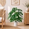 Product Photo 4