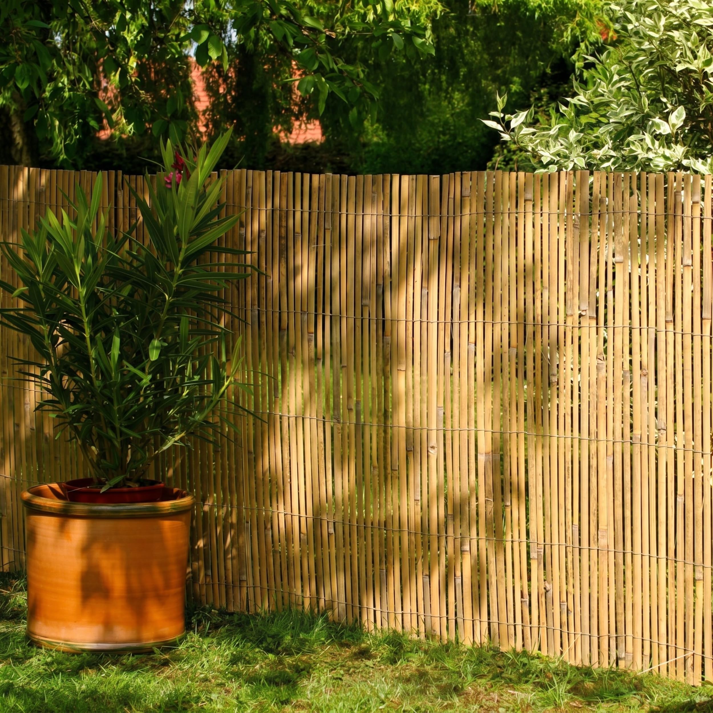 DE-COmmerce Bambus Zaun Schilf Sichtschutz CALAMA extra gehrtet (HxB) 200  x 500 cm Balkonsichtschutz, Gartenzaun, Sichtschutzzaun fr Garten,  Terrasse, Balkon : Amazon.de: Garten