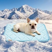 PPOLCA Waterproof Cooling Mat for Medium Dogs - Q-MAX>0.5, Thin Memory Foam Kennel Dog Crate Bed, Portable Non-Slip & Machine Washable Dog Pad for Indoor & Outdoor 21x29, Light Blue