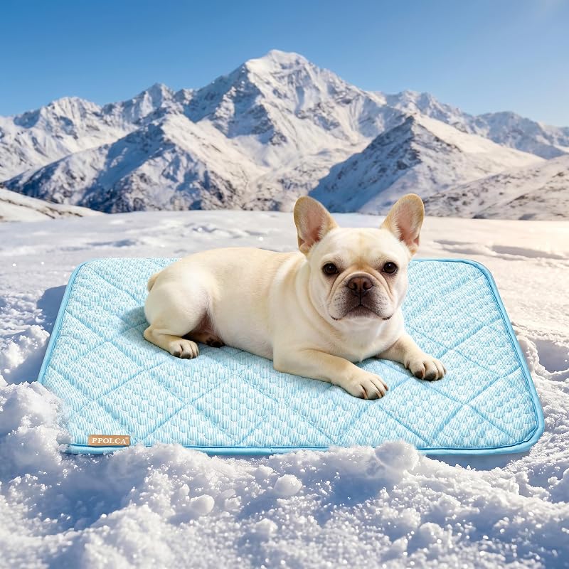 Tapete refrescante impermeável para cães PPOLCA Azul-claro 73,66 x 53,34 cm