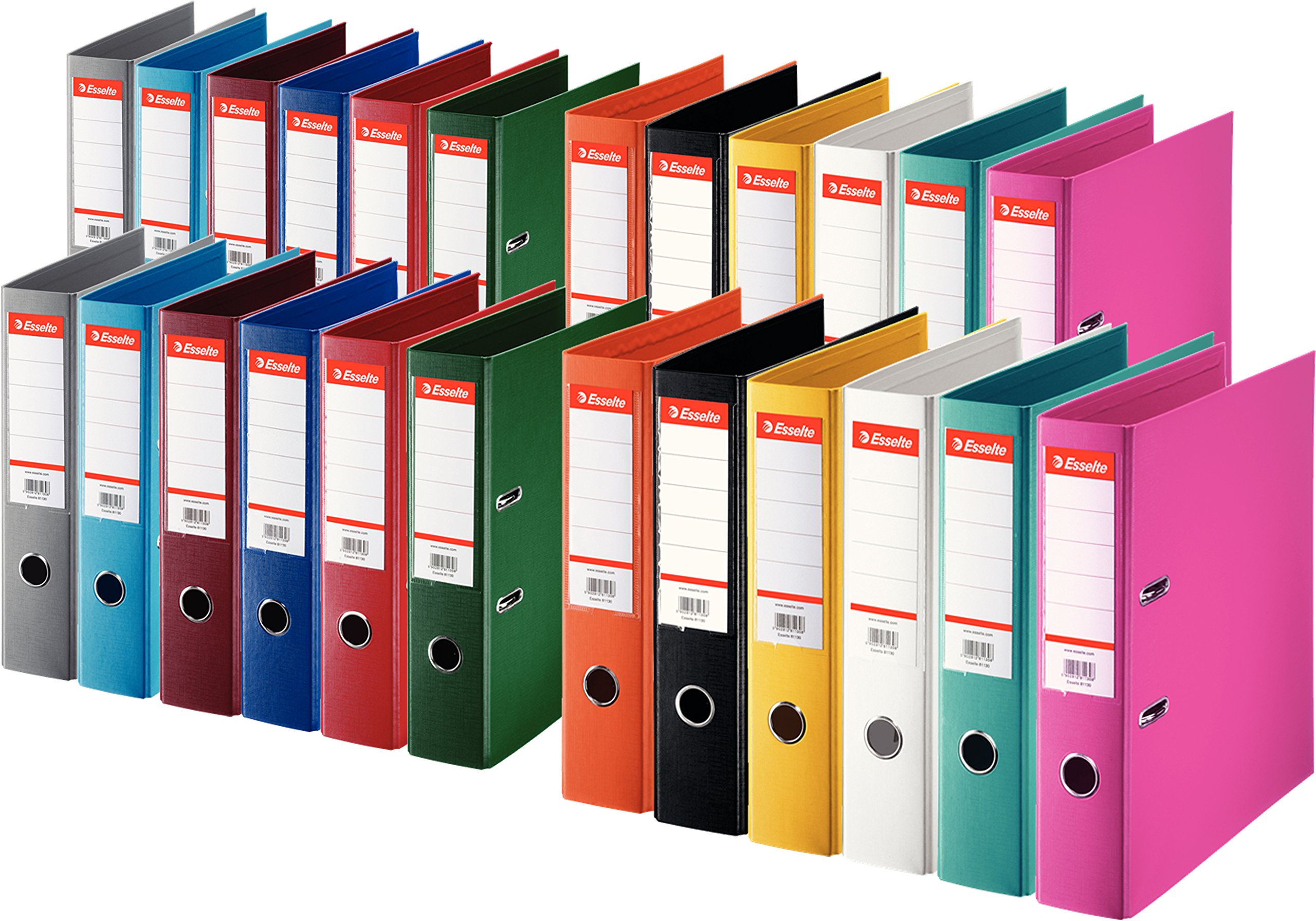 Esselte Plastik-Ordner Standard, DIN A4, 75 mm, auswechselbares Rückenschild (24 Pack, alle 12 Farben je 2X)