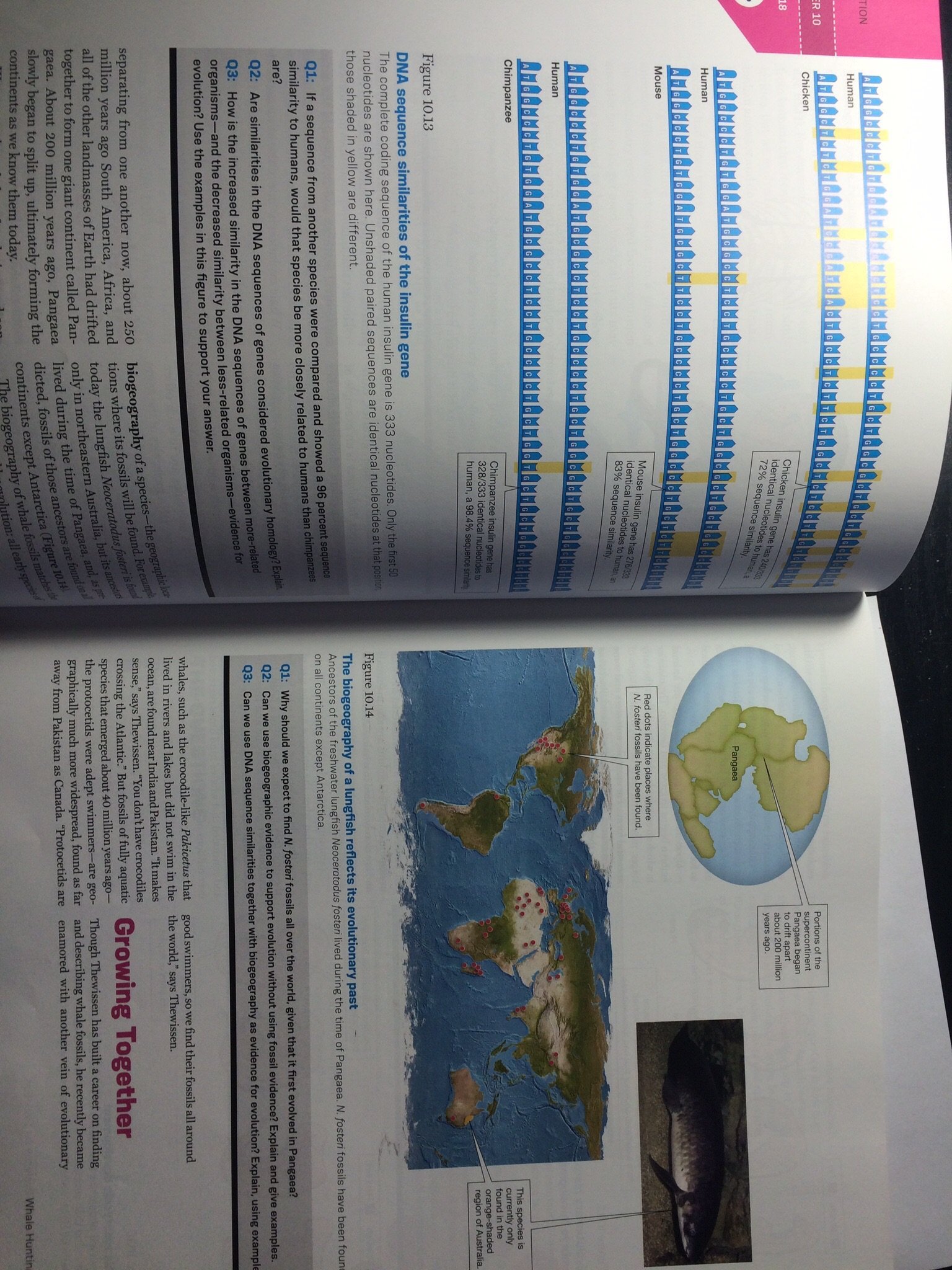 Biology Now (Core Edition) - Image 3