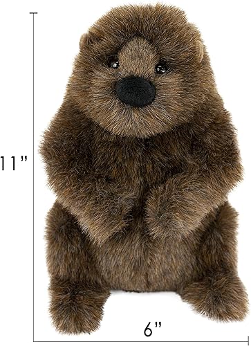 Miniatura 3 de Douglas Chuckwood Groundhog - Peluche de peluche