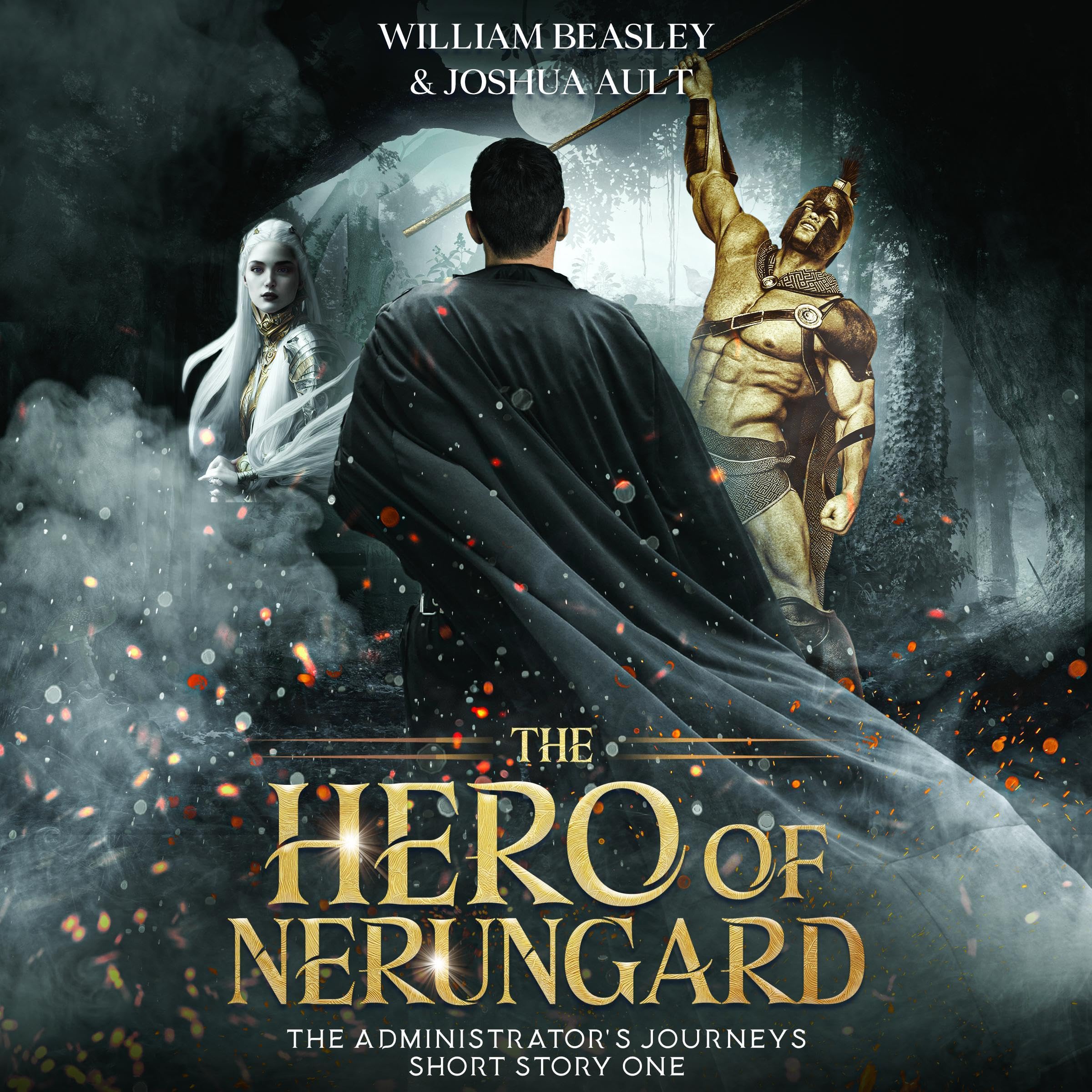Cover art for The Hero of Nerungard