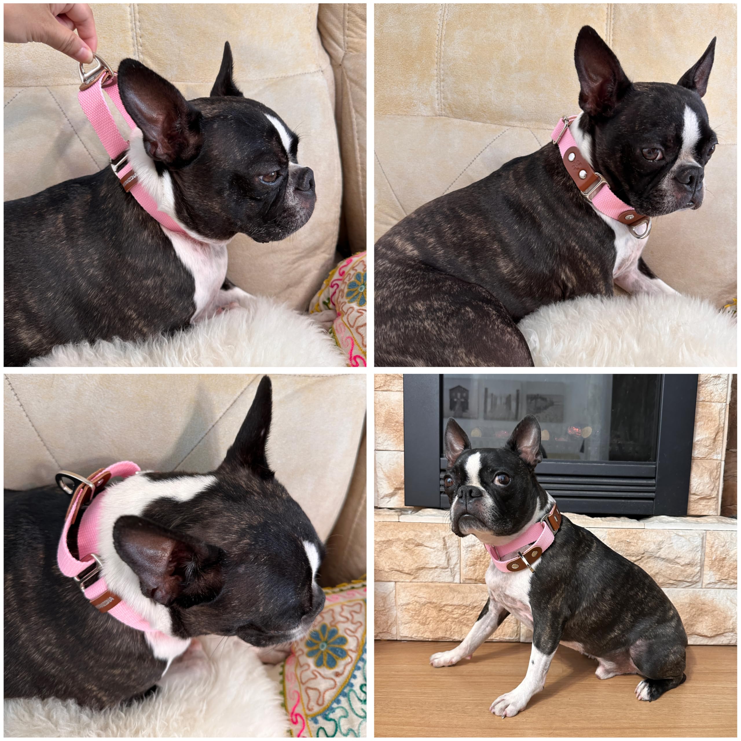 Martingale Dog Choke Collar, Antipull, Poly-Cotton and Leather. M. Pink & Cognac, Pink(Poly-cotton) & Cognac - Image 4