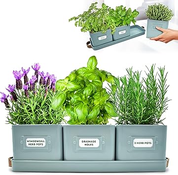 Herb Planter Indoor - Set of 3 Teal Blue Indoor Herb Garden Pots with Leather Handled Tray - Window Sill Plant Shelf - Pots with Drainage Holes and Labels