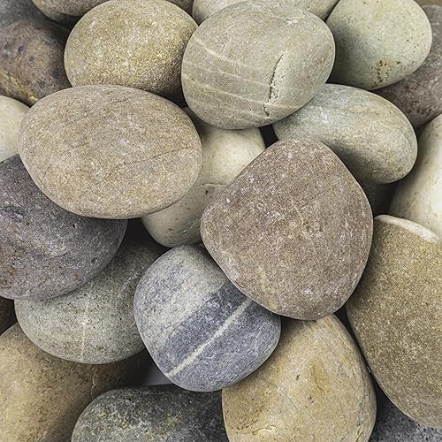 Vista 3 de MSI Guijarros multicolor pulidos decorativos, 1.2 pulgadas - 2 pulgadas, bolsa de 40 libras