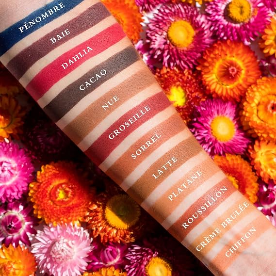 لوحة فيزارت باريس Slimpro Pro Luxe Eyeshadow (Neutral Mattes: Milieu)