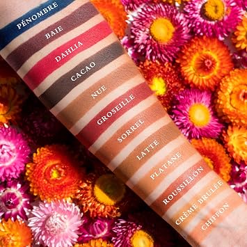 لوحة فيزارت باريس Slimpro Pro Luxe Eyeshadow (Neutral Mattes: Milieu)
