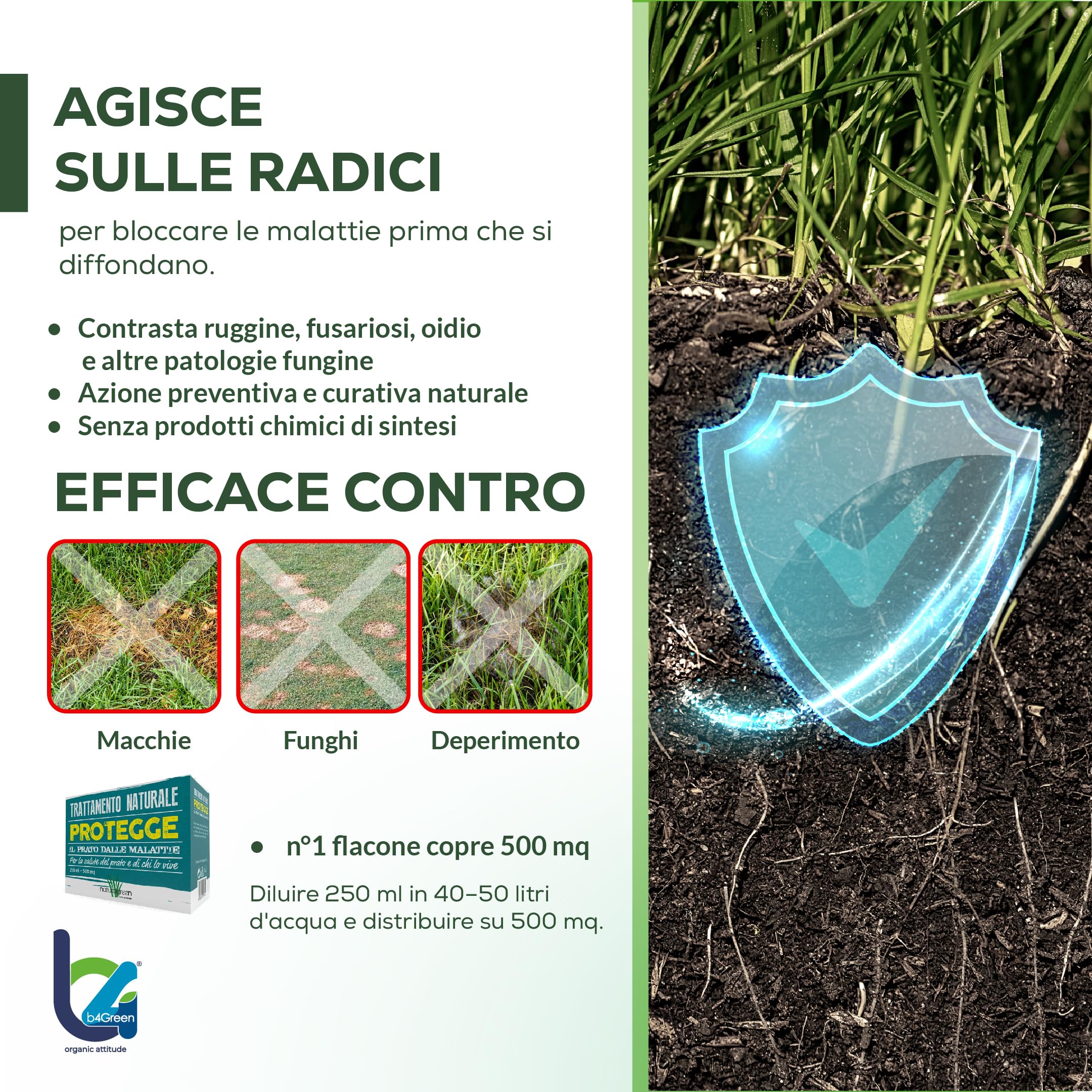 B4Green Protegge Prato (500m²) Funghicida per Prato Naturale Bio 250ml | Fungicida per Prato contro malattie fungine e prato malato, Micorrize Bio e Trichoderma per un tappeto erboso sano e verde