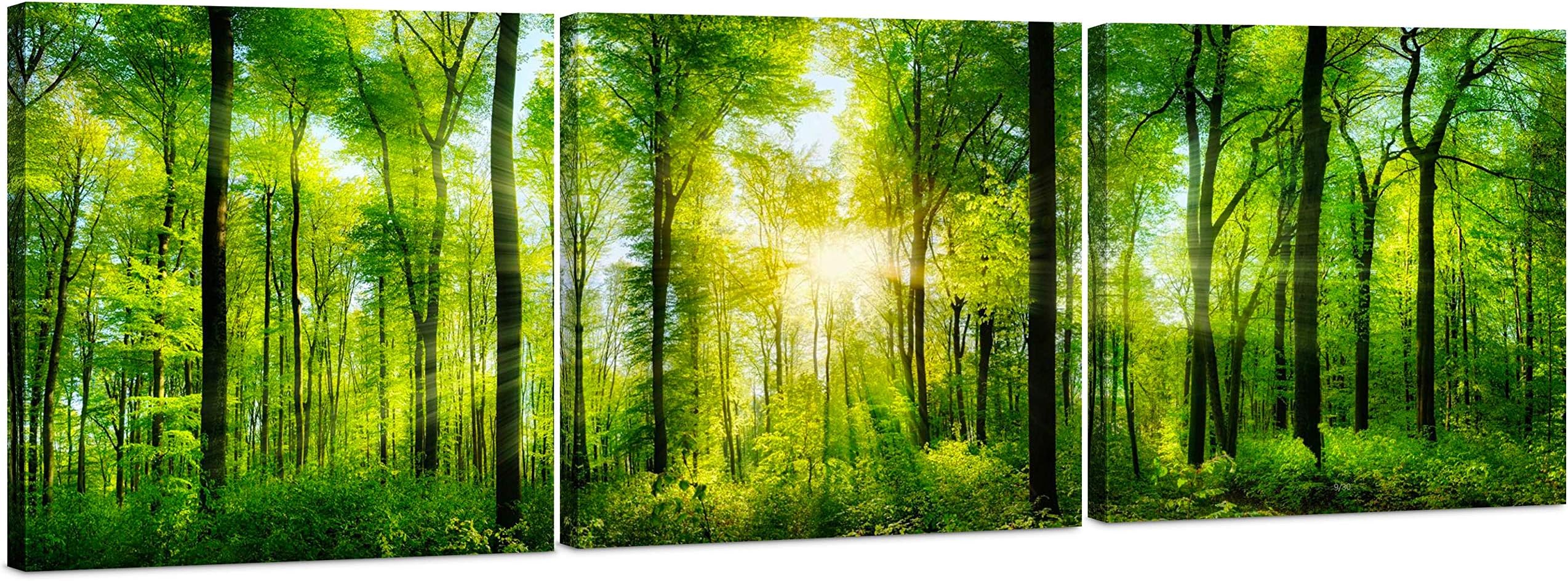 Forest Wall Art Decor - Large Canvas Art 24x72 - 3 Panel Green Nature Print - Forest Picture of Trees Wall Art - Landscape Nature Canvas Wall Art for Living Room, Bedroom & Office
