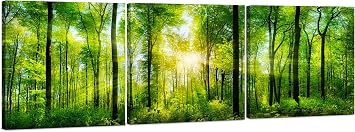 Forest Wall Art Decor, Large 3 Panel Canvas 24x72, Green Nature Landscape | Forest Picture of Trees, Nature Canvas Print for Living Room, Bedroom, Office, Home Decor