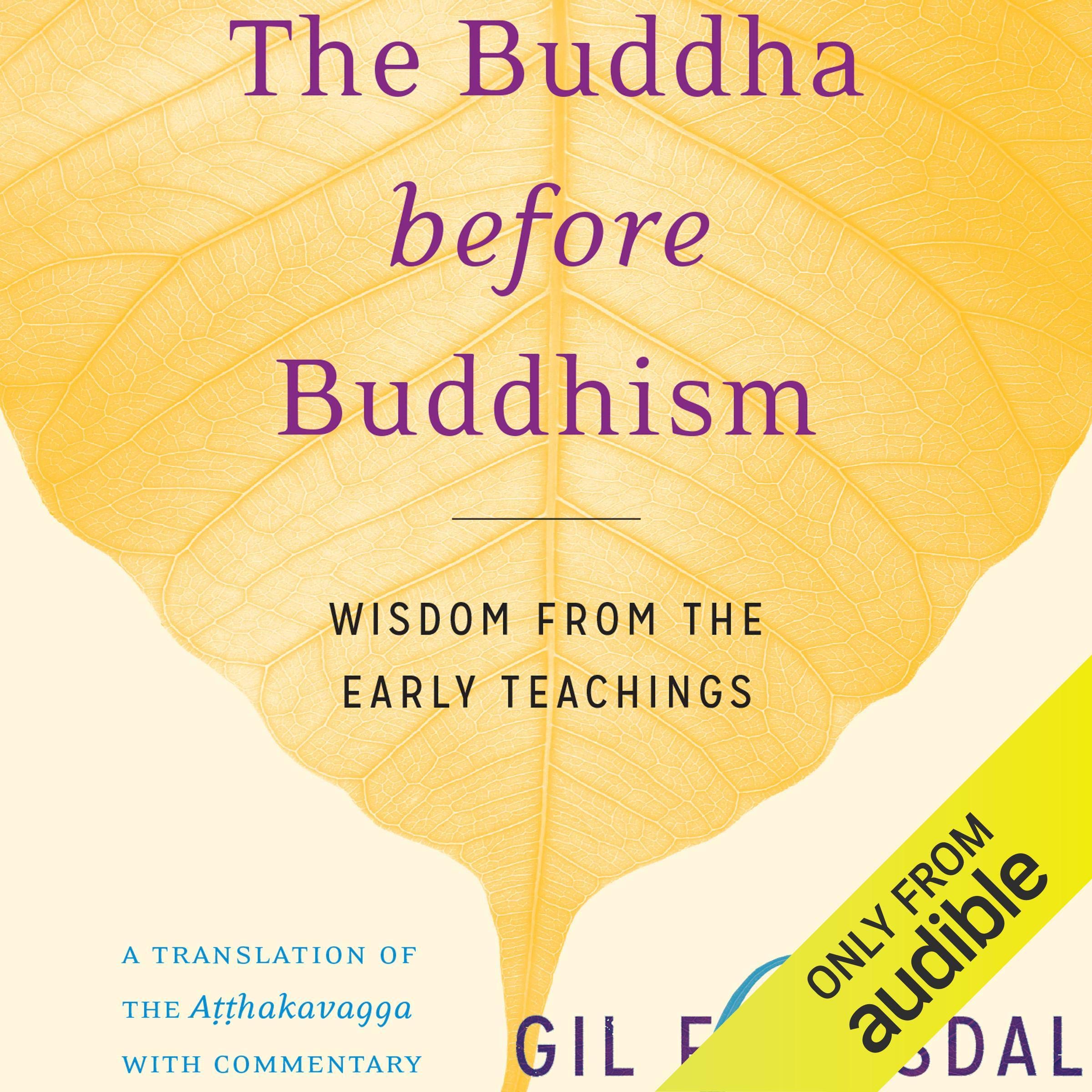 Cover art for The Buddha Before Buddhism