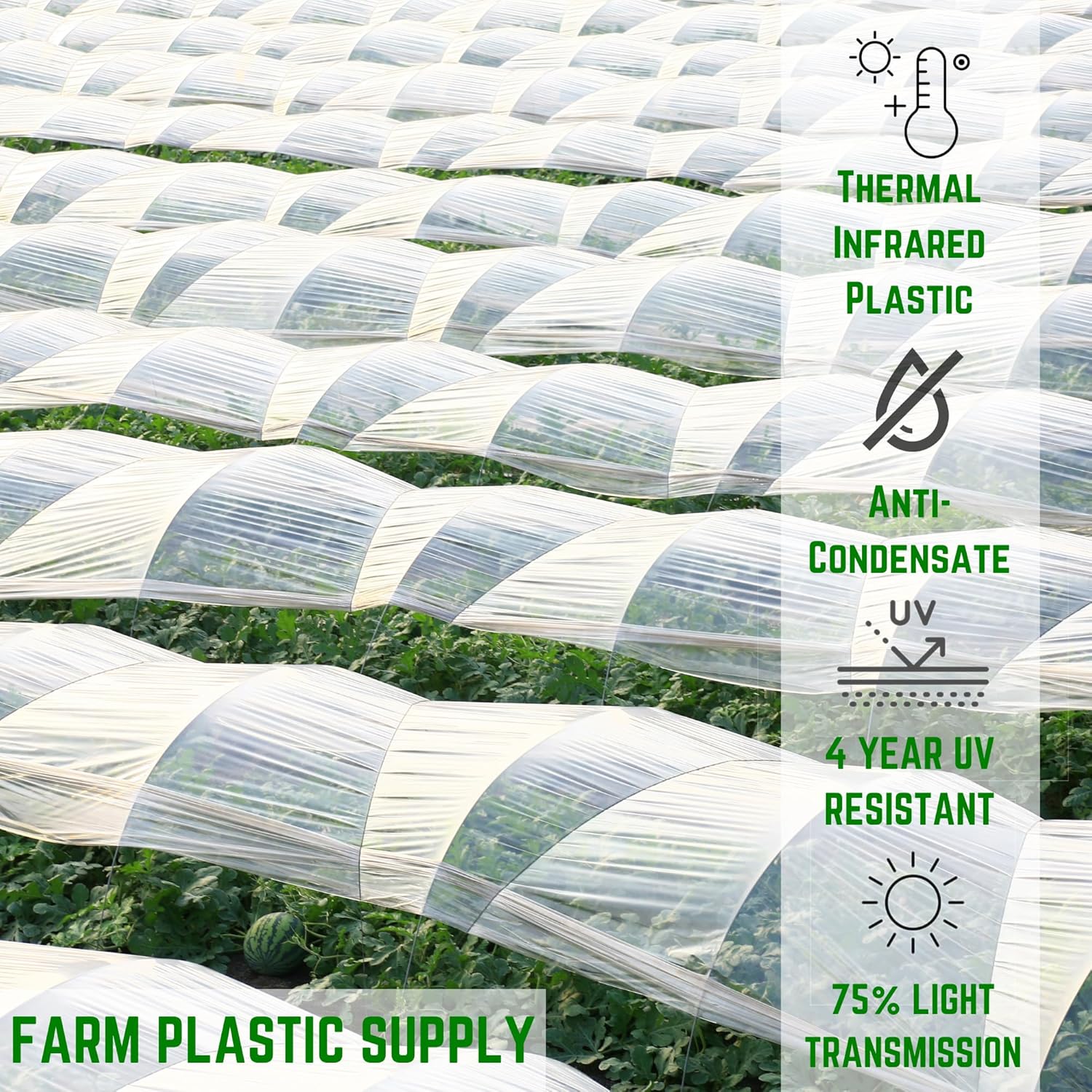 Farm Plastic Supply - Clear Coolmax Greenhouse Plastic Sheeting - 6 Mil - 4 Year UV Resistant Infrared Anti-Condensate Green House Covering Thermal Greenhouse Plastic 6 mil (24' x 50')