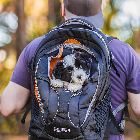 Kurgo G-Train Pet Carrier Backpack, Navy Blue | Cat & Dog Daypack for Outdoors & Travel, Waterproof Bottom, Ventilated Mesh Panels, Storage Pockets, For Pets up to 25Lbs