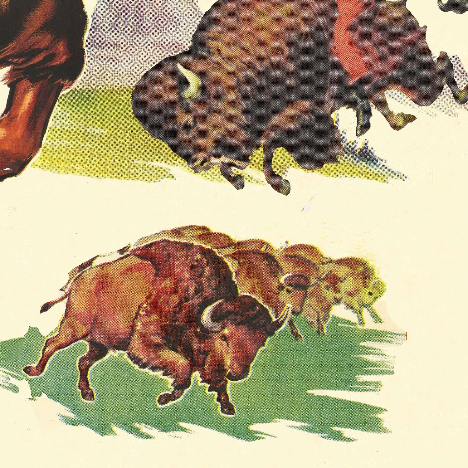 State Fair Rodeo Wall Art Print, Buffalo and Steer Riders Poster, Orange and Green, Western Vintage Americana Decor (24 x 32 inches)