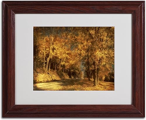 Miniatura 8 de Back Roads - Arte enmarcado mate de Lois Bryan con marco de madera, 16 x 20 pulgadas